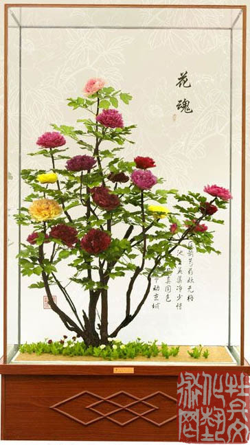 泽瑞不凋花