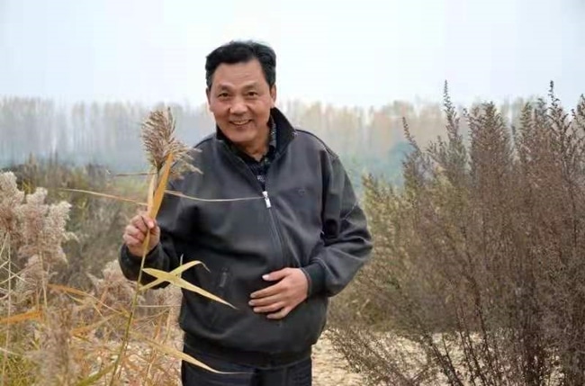 张来远