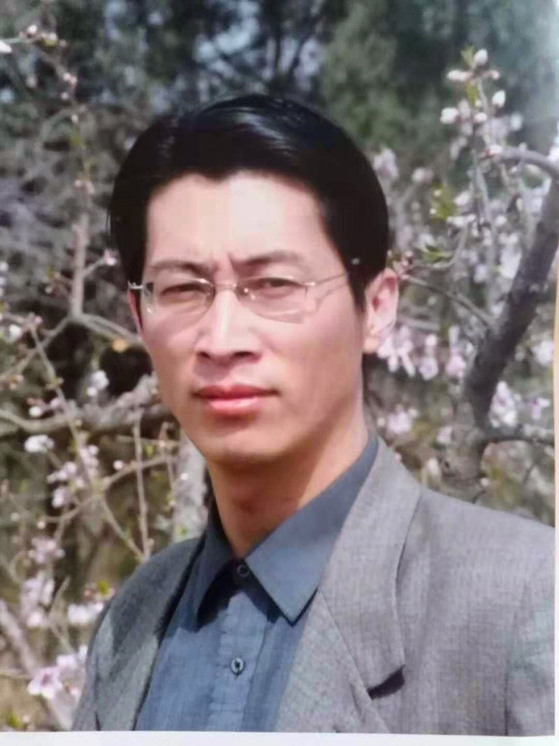 杨苇