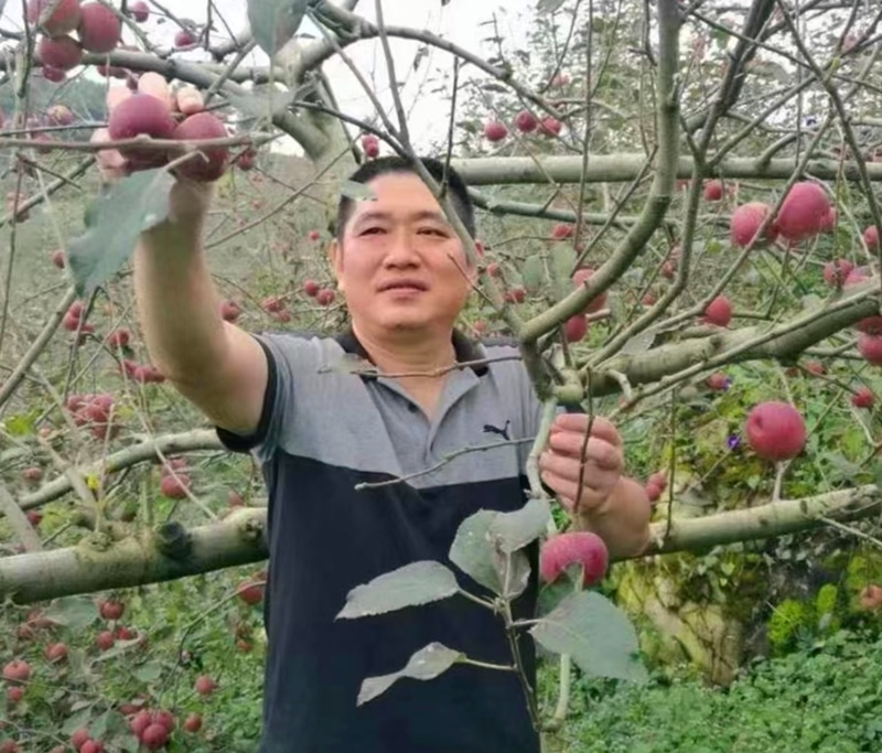 郑云昆