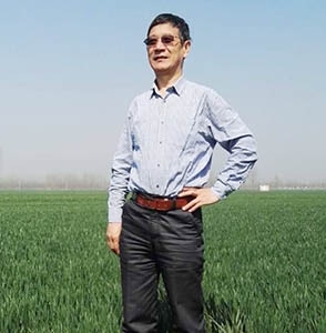 王崭宇