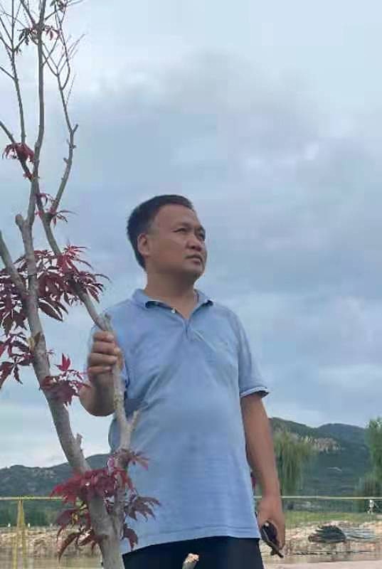 王朋泉