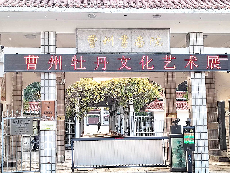 曹州牡丹文化艺术展览开展