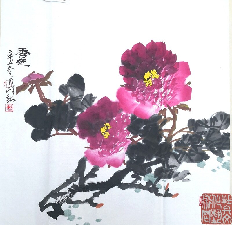 朱峰新