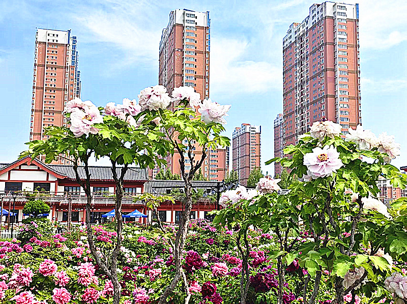 微信图片_20260419203203_1596_5.jpg
