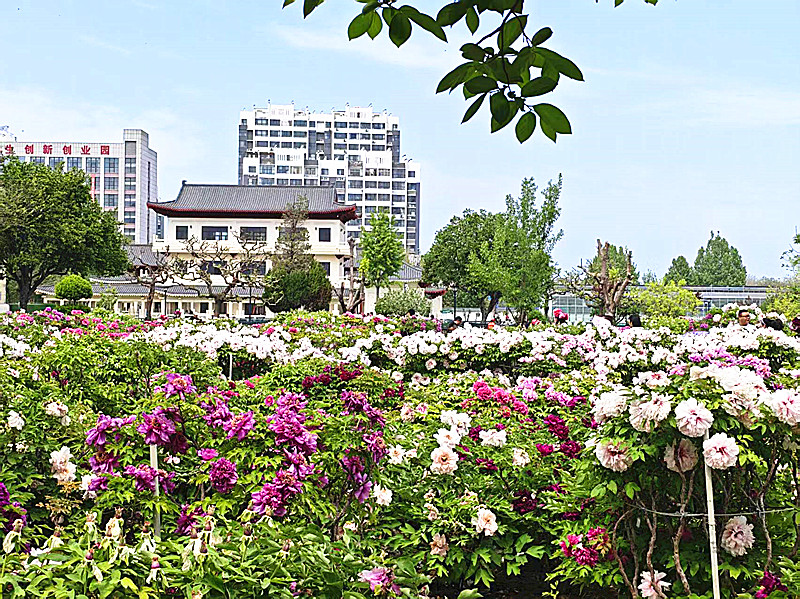 微信图片_20260419202608_1581_5.jpg