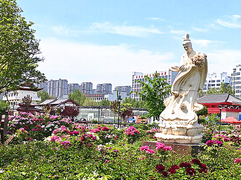 微信图片_20260419203245_1597_5.jpg