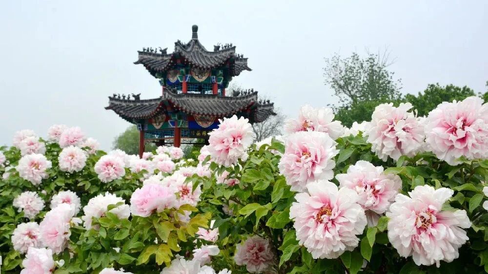 微信图片_2026-04-22_160024_041.jpg