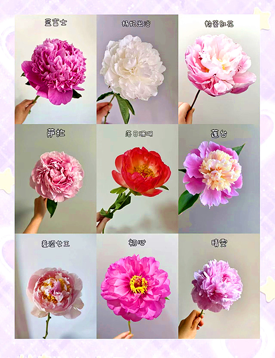 微信图片_20260503133712_1838_5.jpg