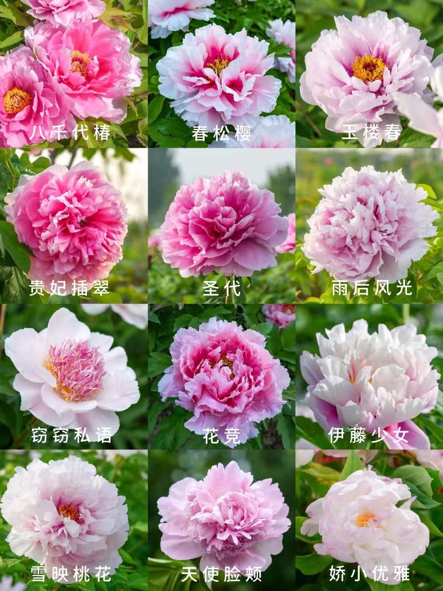 微信图片_20260503133949_1843_5.jpg